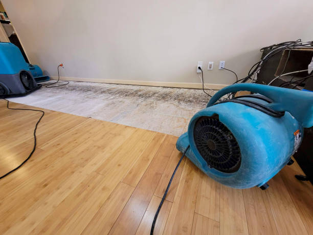 Professional Water Damage Repair technician working in Pemberville, OH